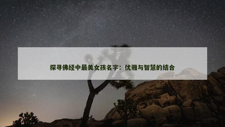 探寻佛经中最美女孩名字：优雅与智慧的结合