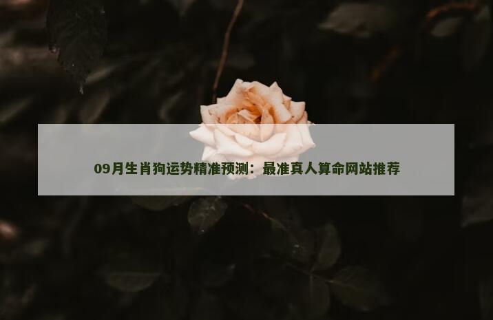 09月生肖狗运势精准预测：最准真人算命网站推荐