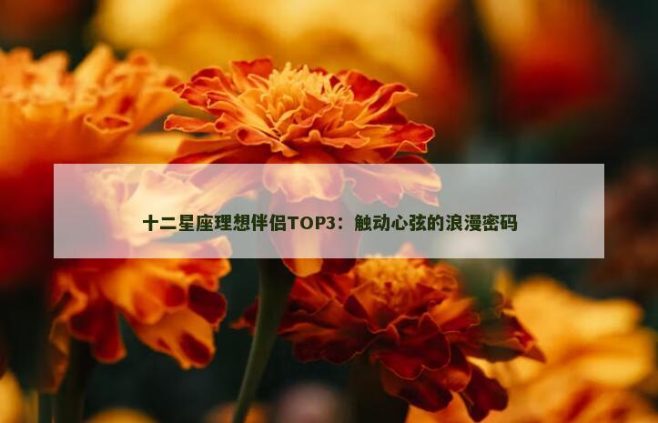 十二星座理想伴侣TOP3：触动心弦的浪漫密码