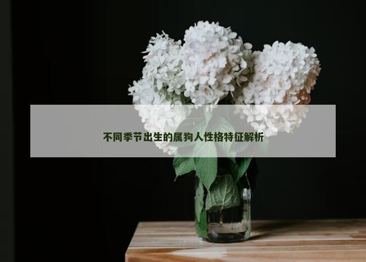 不同季节出生的属狗人性格特征解析