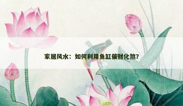 家居风水：如何利用鱼缸催财化煞？