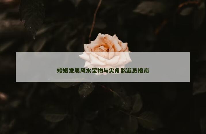 婚姻发展风水宝物与尖角煞避忌指南