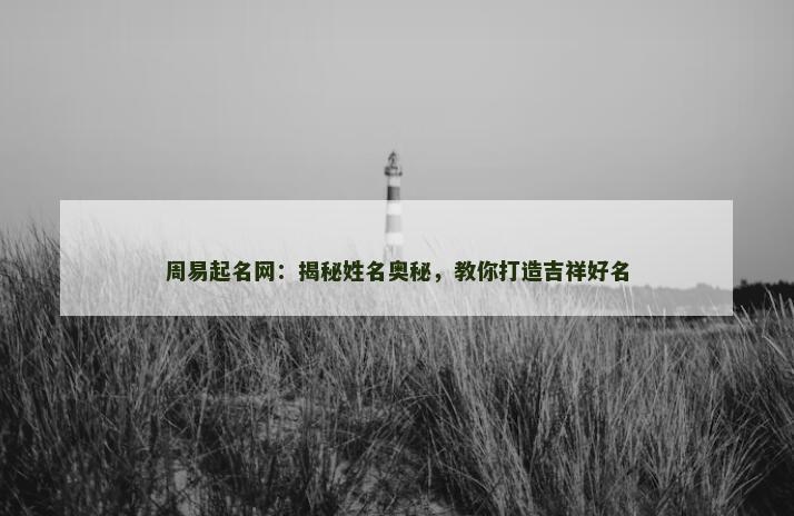 周易起名网：揭秘姓名奥秘，教你打造吉祥好名